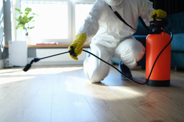 Trusted Trauma Scene Cleanup service in West Orange, TX - Four Month Blood Cleanse